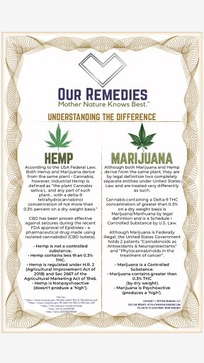 Explore integrity tattoo ideas, creative tattoo ideas in Oswego, available at Bodified