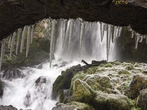 Tourist Attraction «Wahkeena Falls», reviews and photos, Wahkeena Trail #420, Corbett, OR 97019, USA