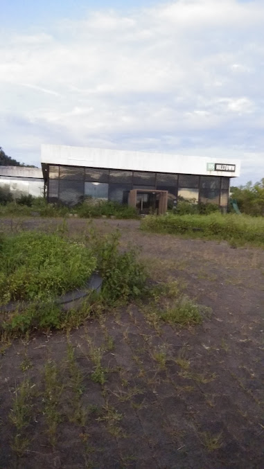 Google Maps image 27