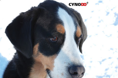Cynodo - Cyno Luc Campbell Inc.