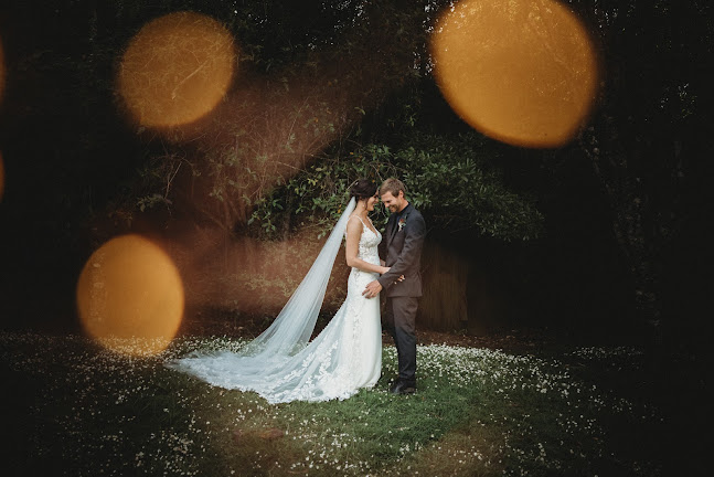 Comments and reviews of Velvet Moon Photography