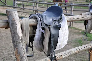 Pophams Saddlery & Riding Wear image