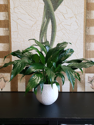 Florist «Village Florist», reviews and photos, 49 Main St, Toms River, NJ 08753, USA