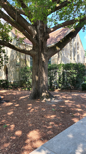 Historical Landmark «North Carolina State Capitol», reviews and photos, 1 E Edenton St, Raleigh, NC 27601, USA