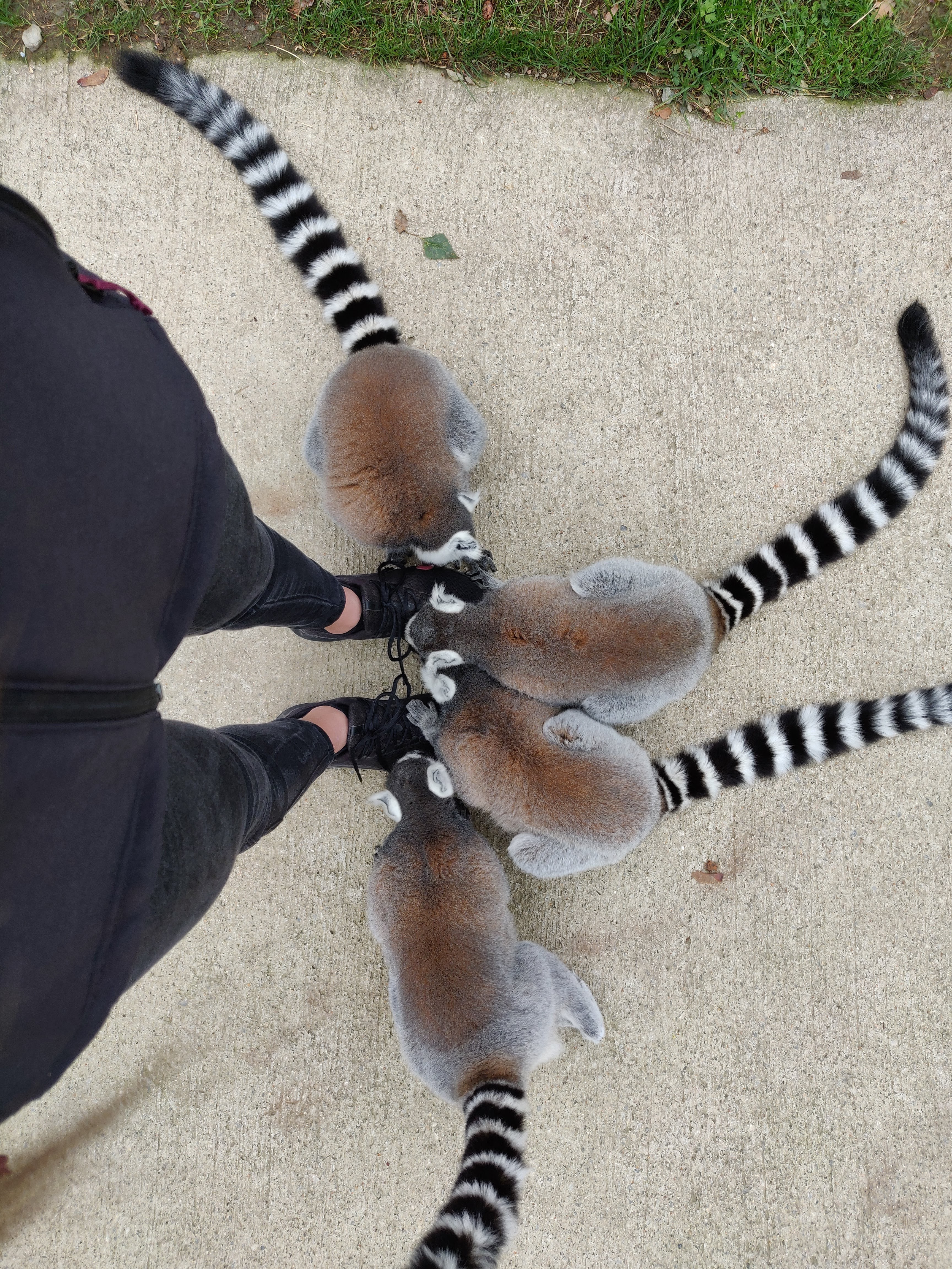 Photo n° 6 de l'avis de Kelly.e fait le 06/10/2020 à 20:25