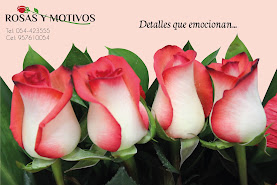 Floreria Rosas y Motivos