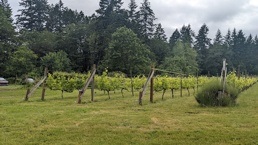 Vineyard «Olalla Vineyard & Winery», reviews and photos, 13176 Olalla Valley Rd SE, Olalla, WA 98359, USA
