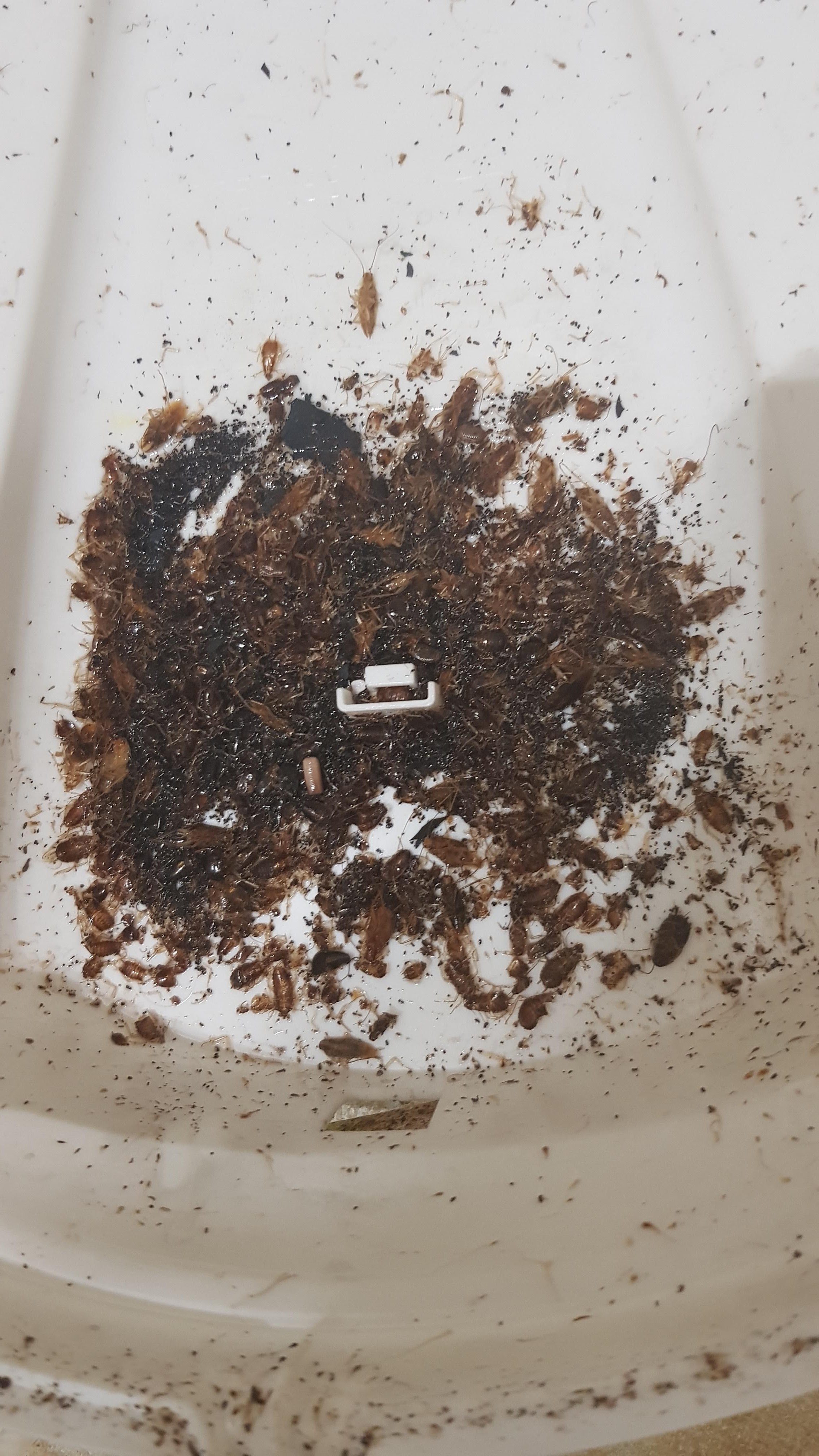 Photo n° 3 de l'avis de G... fait le 10/02/2023 à 22:27
