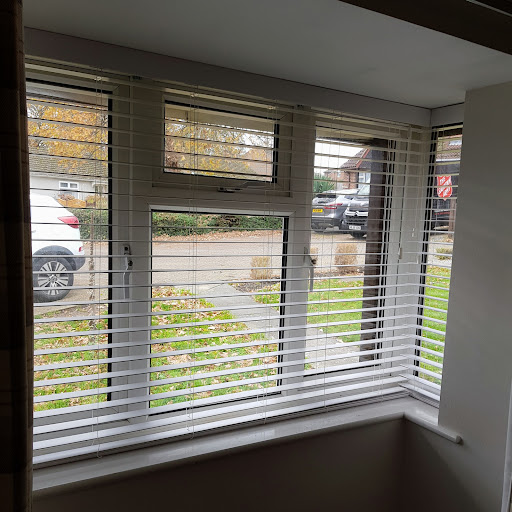 Blinds just for you - window blinds