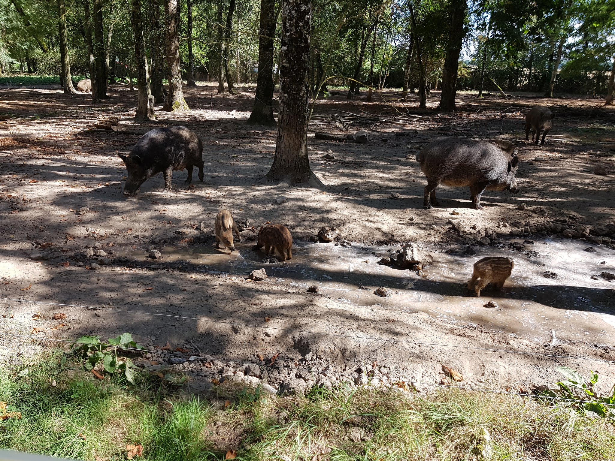 Photo n° 4 de l'avis de Octhane.a fait le 17/08/2018 à 19:35