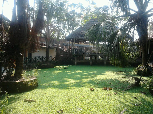 Opiniones de Instituto de Educación Superior Pedagógico Público "Loreto" en Iquitos - Escuela