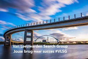 VLSG - Van Leeuwarden Search Group