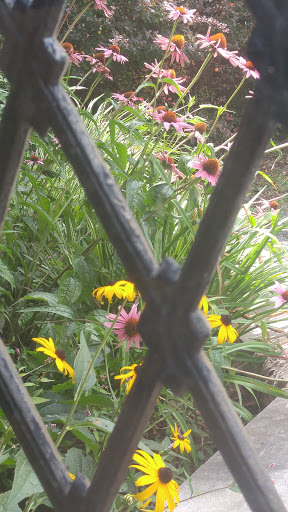 Park «Grover Cleveland Park», reviews and photos, Brookside Ave & Runnymede Rd, Essex Fells, NJ 07021, USA