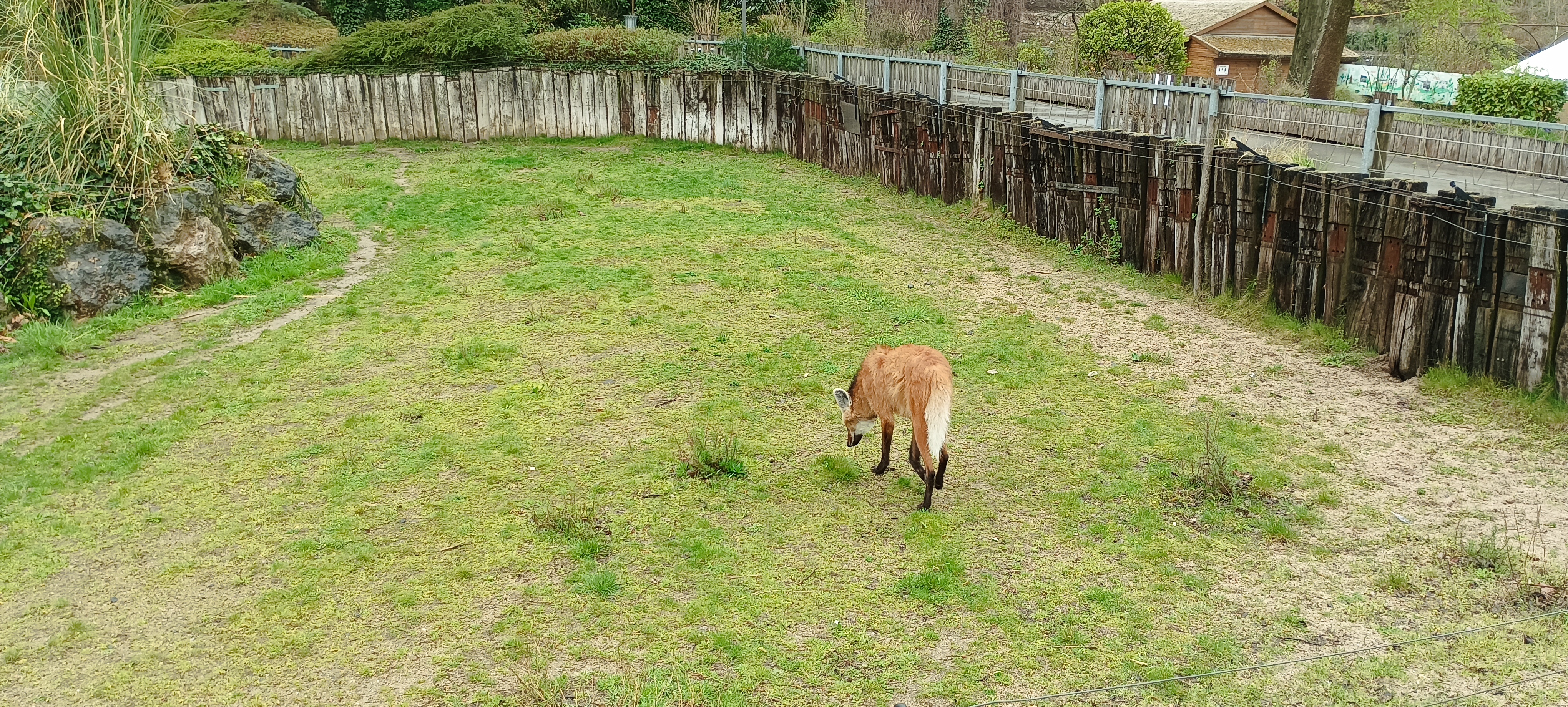 Photo n° 2 de l'avis de Antoine.i fait le 03/04/2023 à 08:17