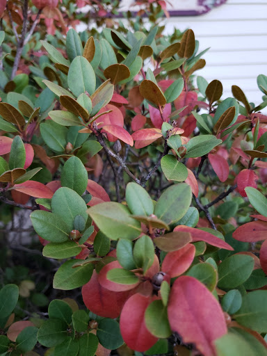 General Store «Wanamakers General Store», reviews and photos, 8888 Kings Hwy, Kempton, PA 19529, USA