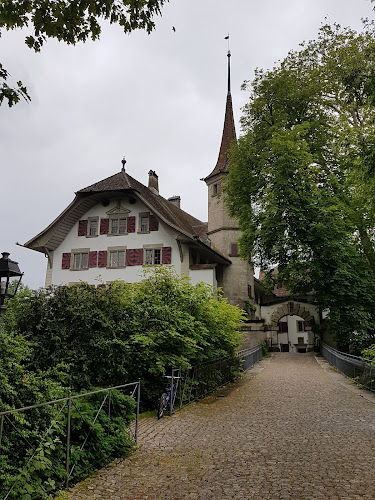 Schloss Landshut - Thun