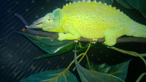 Pet Supply Store «Farmyard Feed», reviews and photos, 27705 Dutcher Creek Rd, Cloverdale, CA 95425, USA