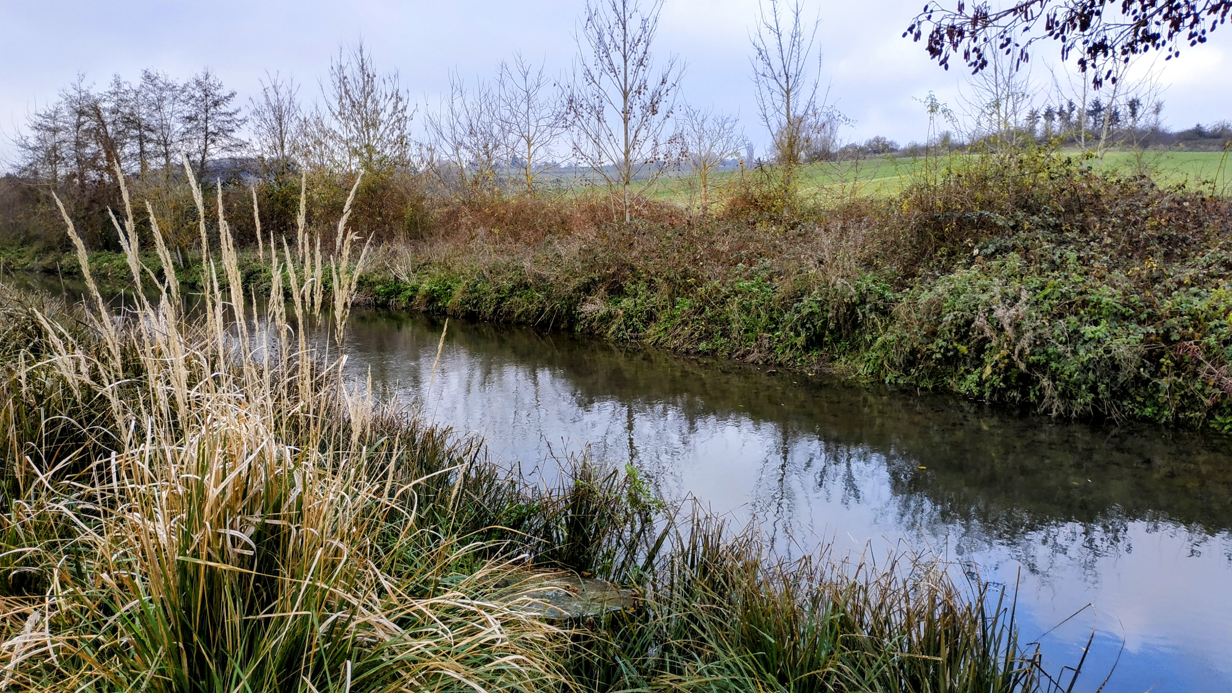 Photo n° 10 de l'avis de The.a fait le 12/12/2022 à 16:29