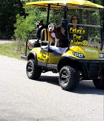 Petey's Pup Rides - Photo 4 - Car repair in Surfside Beach, SC, Myrtle Beach