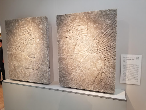 Art Museum «Kimbell Art Museum», reviews and photos, 3333 Camp Bowie Blvd, Fort Worth, TX 76107, USA