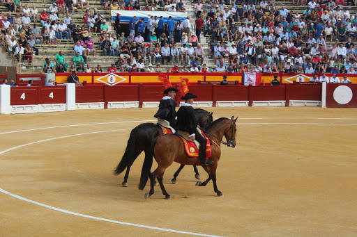 Rodeos Alicante