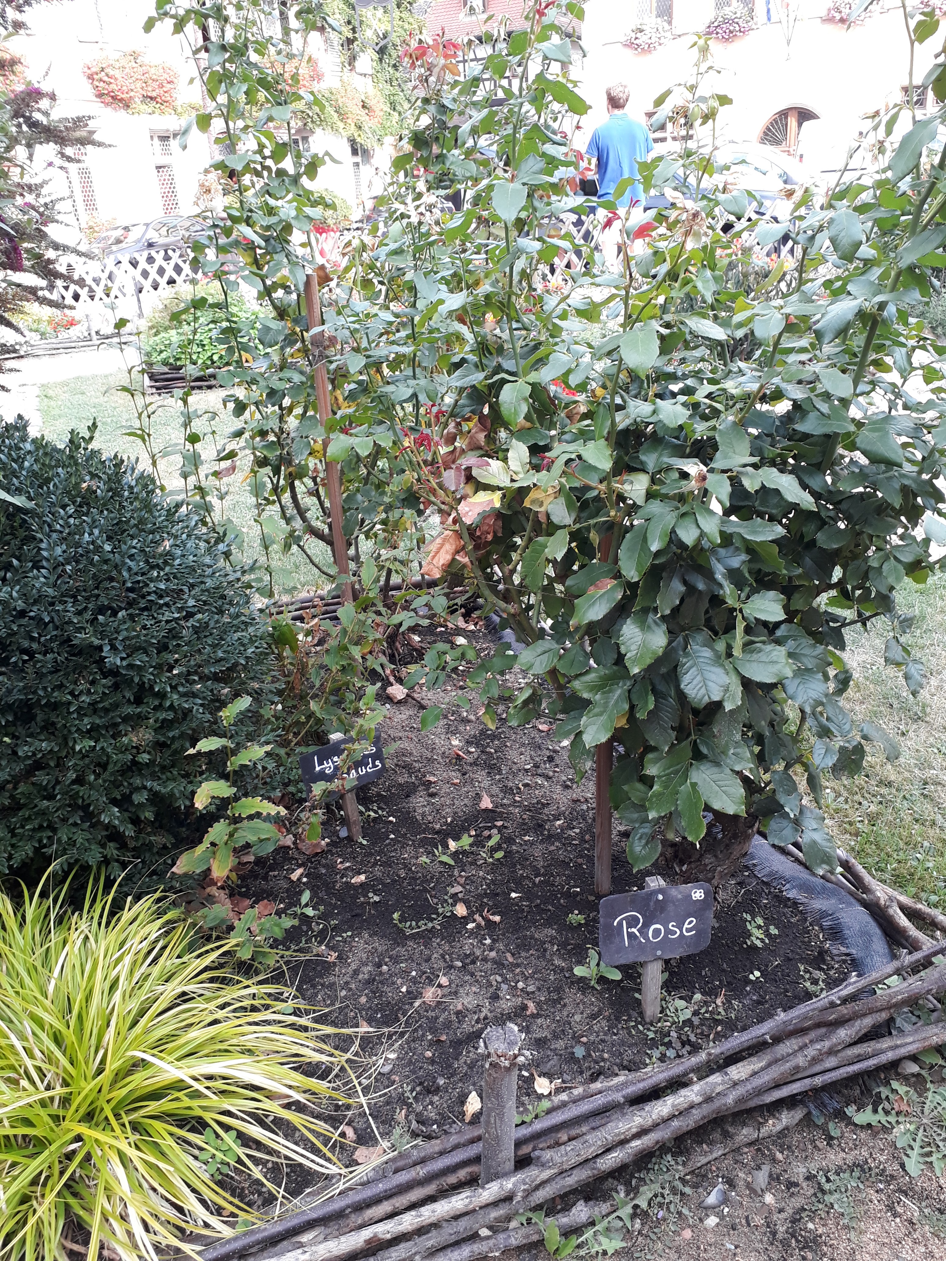 Photo n° 6 de l'avis de Sebastian.B fait le 19/08/2018 à 07:40