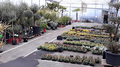 Jardin du Planty à Montrevault-sur-Èvre
