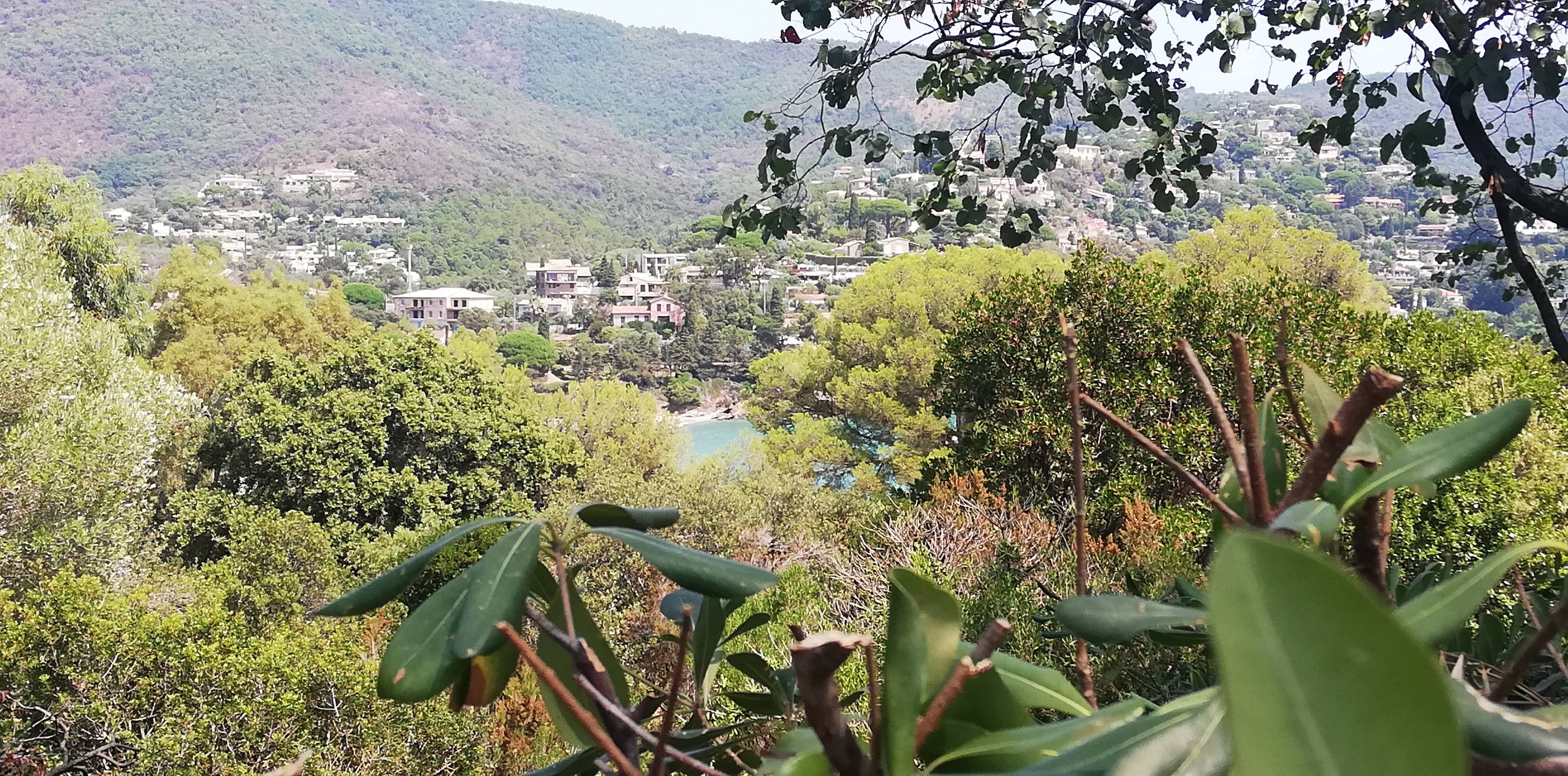Photo n° 5 de l'avis de manu624000. fait le 05/08/2019 à 12:10