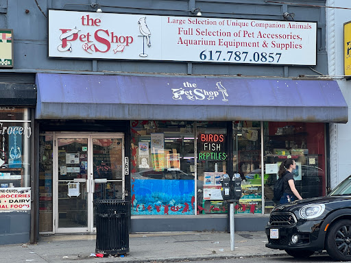 Pet Store «The Pet Shop», reviews and photos, 165 Harvard Ave, Allston, MA 02134, USA