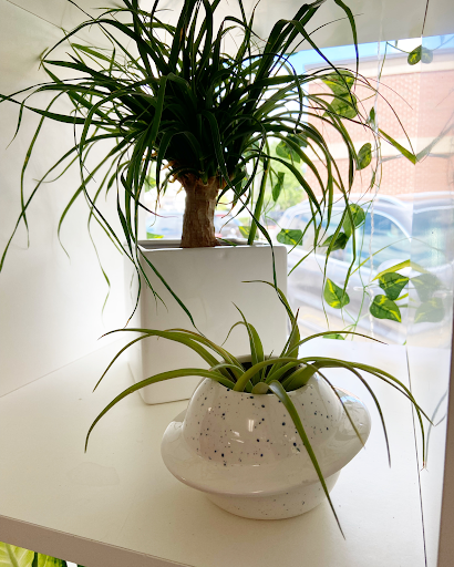 Florist «Crescent Floral & Gifts», reviews and photos, 2140 Wealthy St SE, Grand Rapids, MI 49506, USA