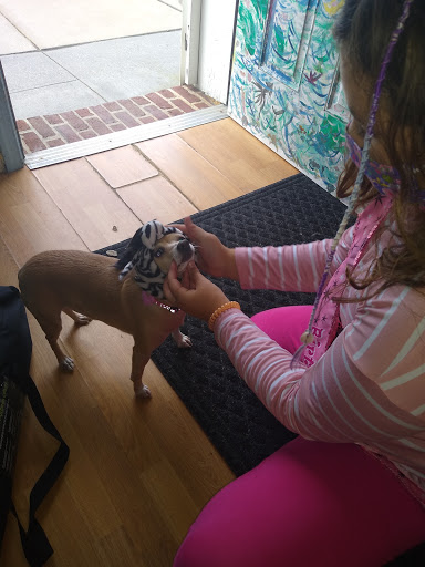 Pet Groomer «Animal House», reviews and photos, 705 Asbury Ave, Ocean City, NJ 08226, USA