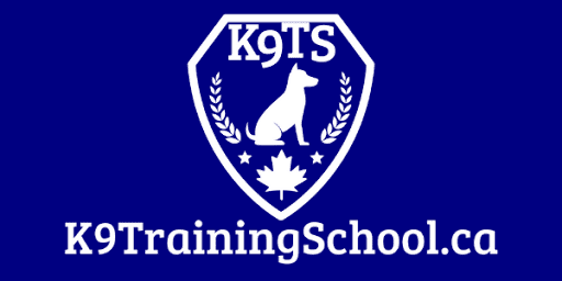 K9 Training School