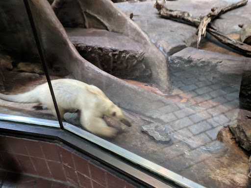 Zoo «Small Mammal House», reviews and photos, 95 Olmsted Walk, Washington, DC 20008, USA