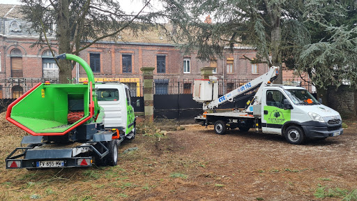 Abattage des arbres Lille