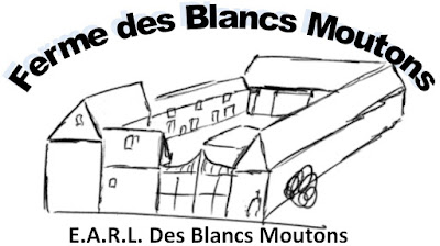 Ferme des blancs moutons à Arleux