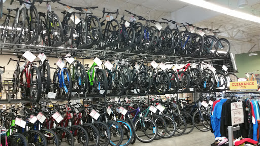 Bicycle Store «Performance Bicycle», reviews and photos, 8402 W Thunderbird Rd, Peoria, AZ 85381, USA