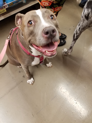 Pet Supply Store «Pet Food Express», reviews and photos, 5829 Lone Tree Way, Antioch, CA 94531, USA