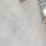 Photo n°6 de l'avis de Ann.e fait le 20/08/2020 à 19:35 sur le  Käsealp à Hopferau