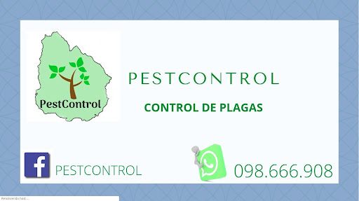 Pestcontrol