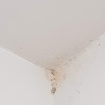 Photo n°2 de l'avis de angelo.i fait le 16/08/2020 à 16:55 sur le  AgroPobitzer à Mals