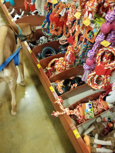 Pet Supply Store «PetSmart», reviews and photos, 2940 Chapel Hill Rd, Douglasville, GA 30135, USA
