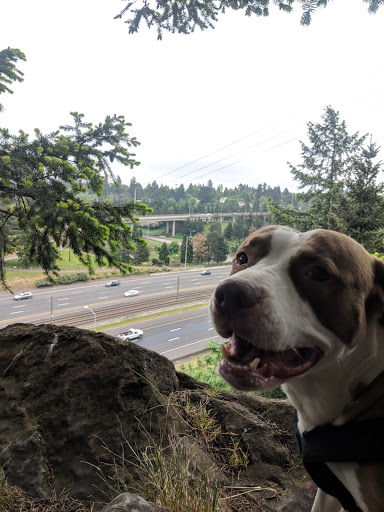 Park «Rocky Butte Park», reviews and photos, NE Rocky Butte Rd, Portland, OR 97220, USA
