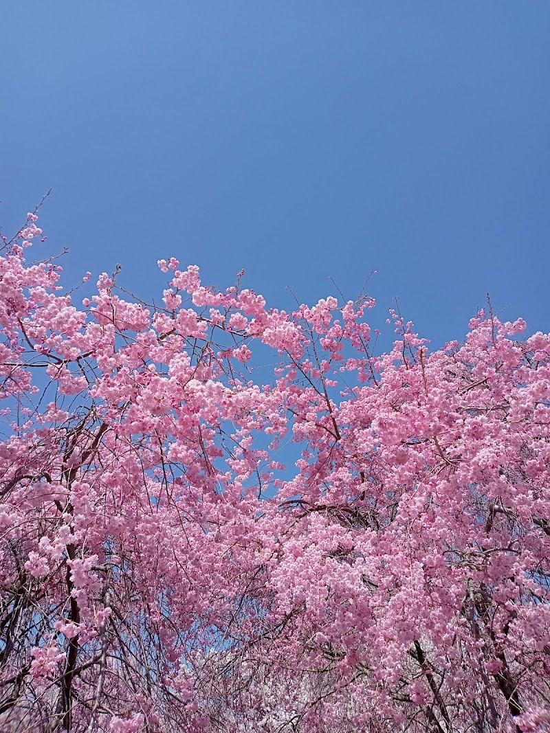 大草城址公園