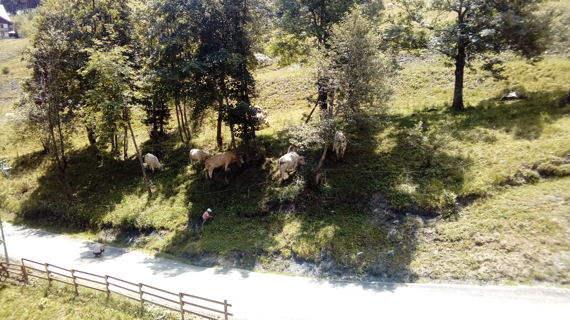Photo n° 1 de l'avis de Mickael.o fait le 09/02/2018 à 13:25