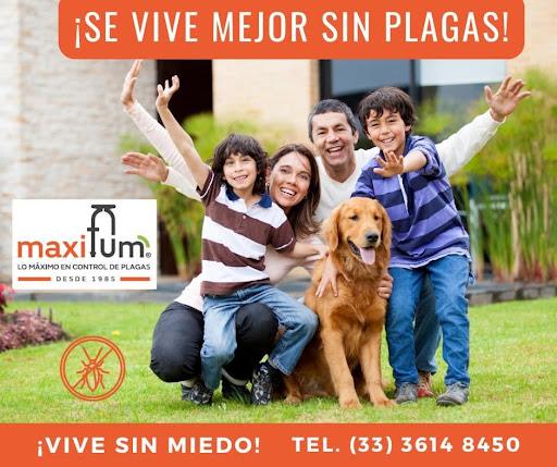 MaxiFum | Fumigación y Control de Plagas en Guadalajara