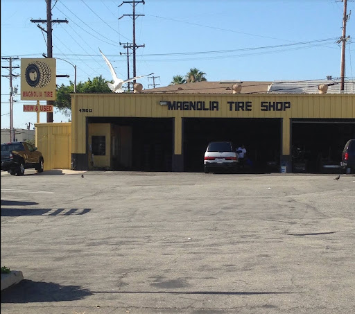 Magnolia Tire Shop
