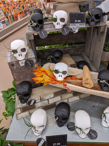 Grocery Store «Jewel-Osco», reviews and photos, 2480 IL-59, Plainfield, IL 60586, USA