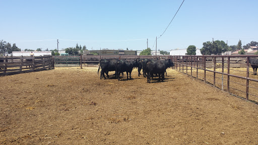 Cattle market Visalia