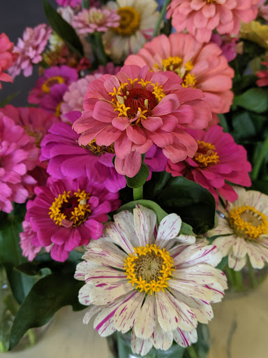 Produce Market «Richards Fruit Market», reviews and photos, 6410 Middle Rd, Middletown, VA 22645, USA