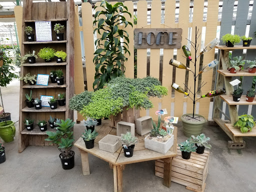 Florist «La Crosse Floral», reviews and photos, 2900 Floral Ln, La Crosse, WI 54601, USA